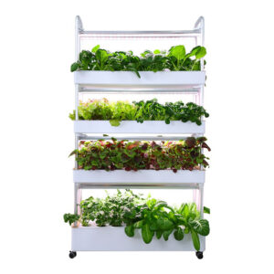 Planters
